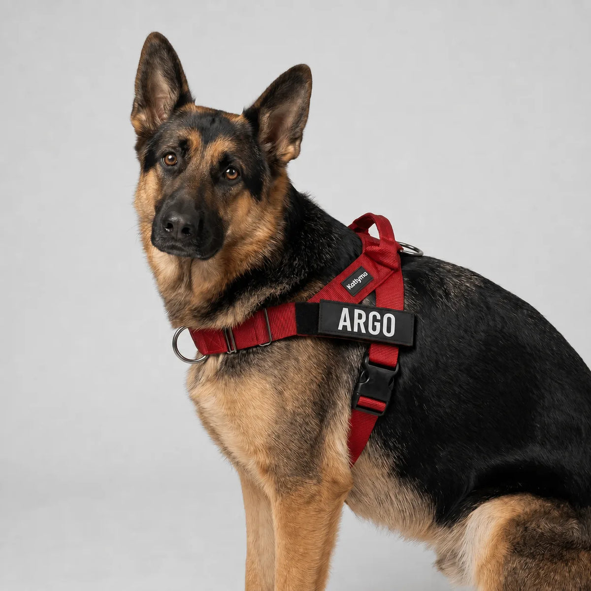 Katlyma Walk® – Pettorina antitiro