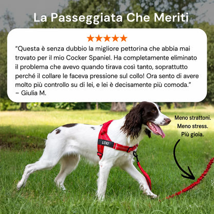 Katlyma Walk® – Pettorina antitiro
