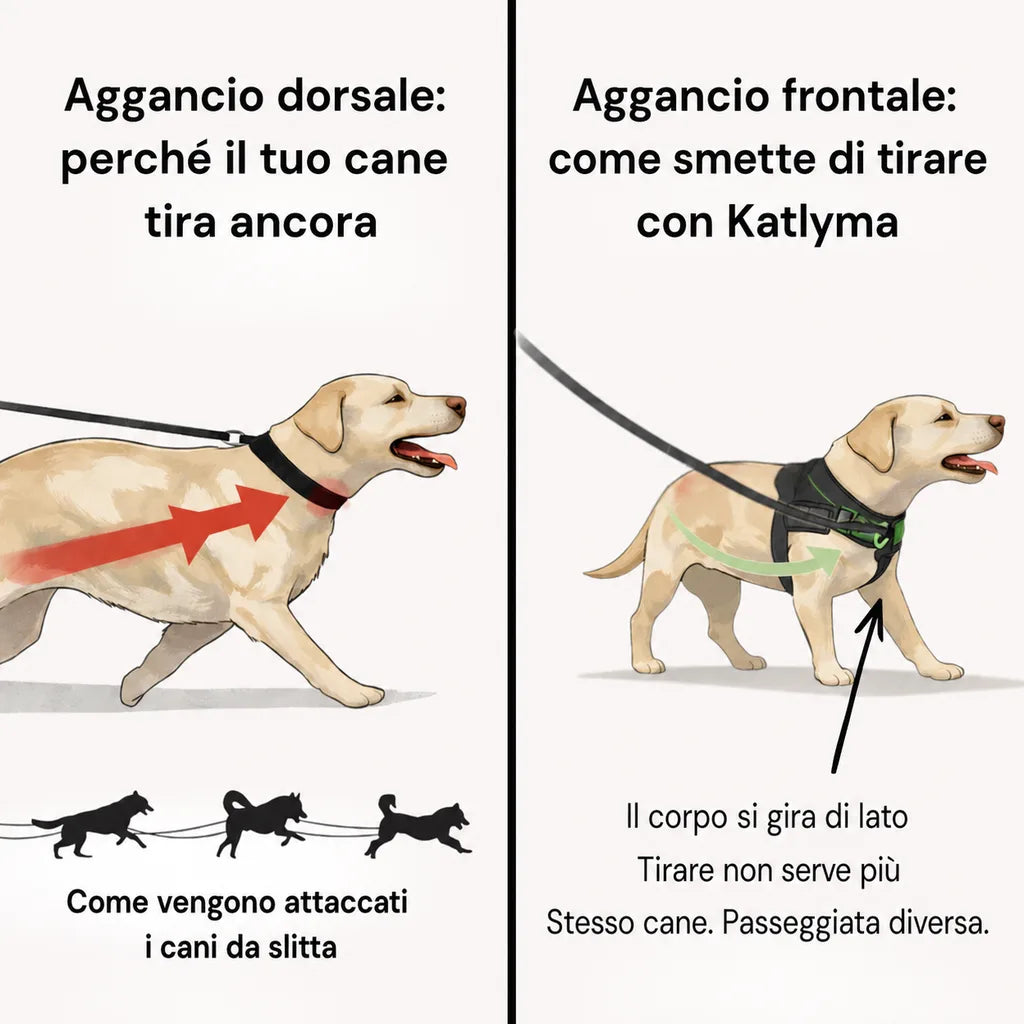 Katlyma Walk® – Pettorina antitiro