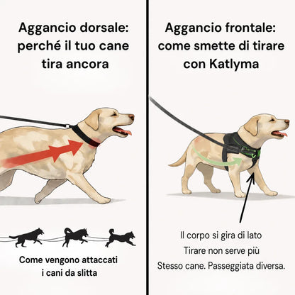 Katlyma Walk® – Pettorina antitiro