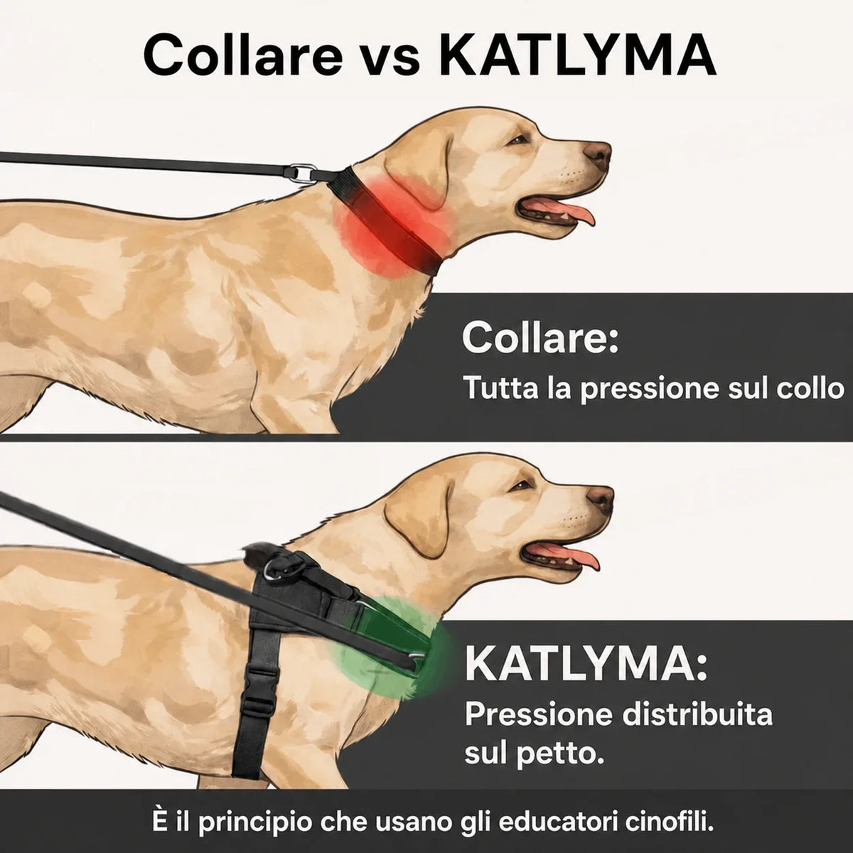Katlyma Walk® – Pettorina antitiro