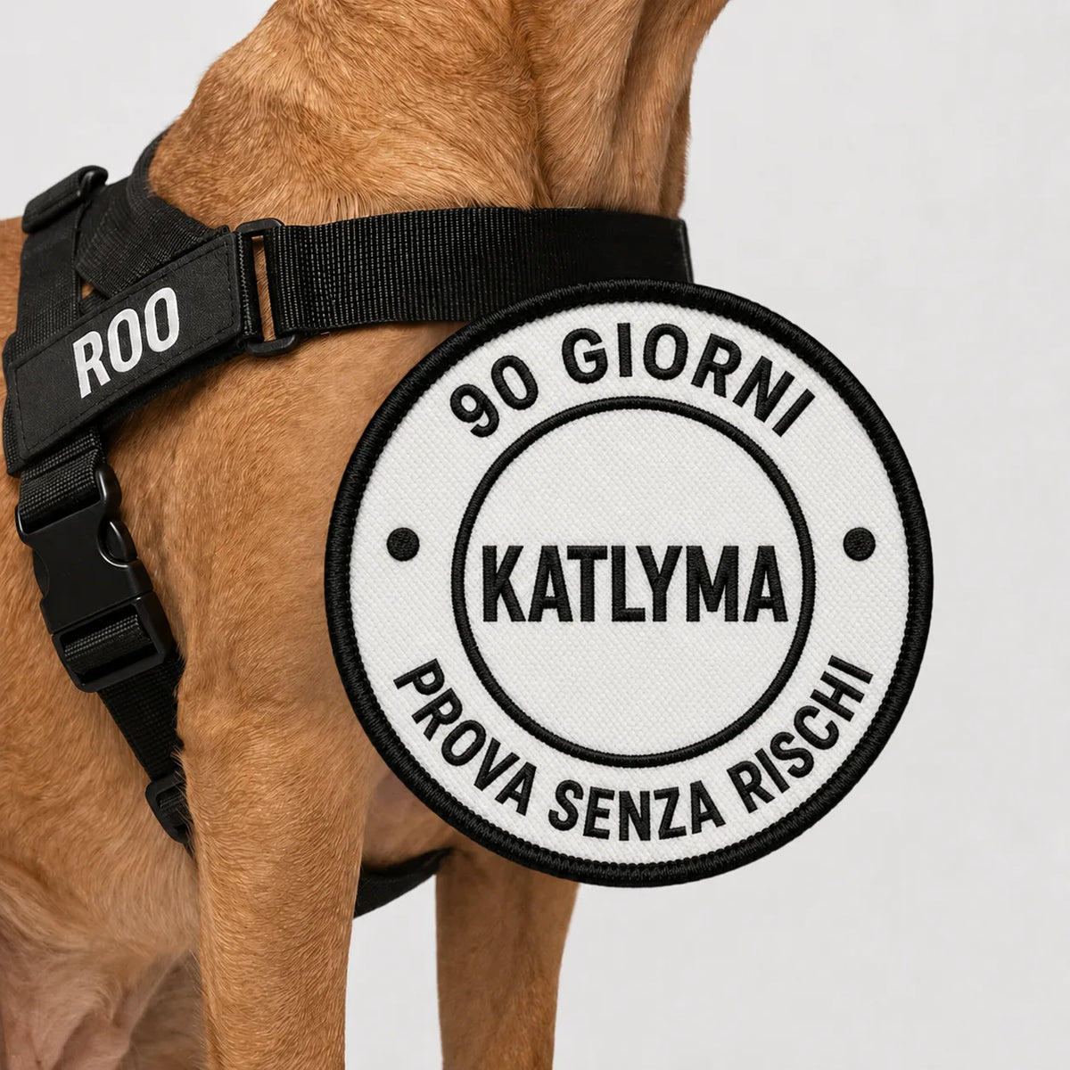 Katlyma Walk® – Pettorina antitiro